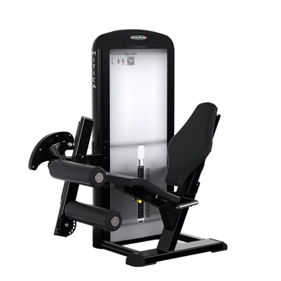 Máquina Femoral Sentado MP10