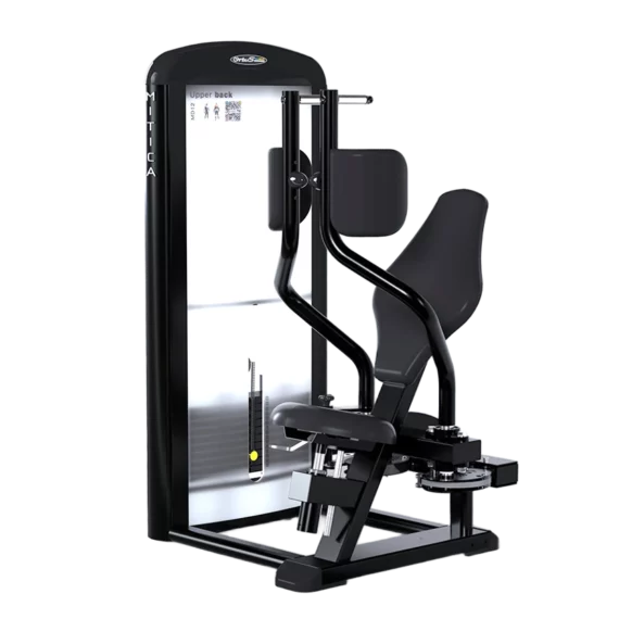 Upper Back Deltoides Posteriores MD12