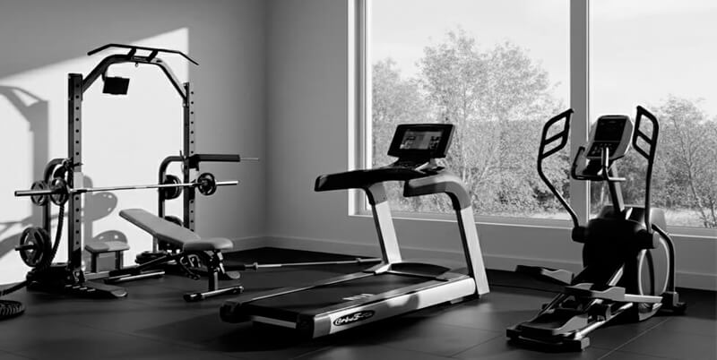 estilo de vida saludable ortus fitness