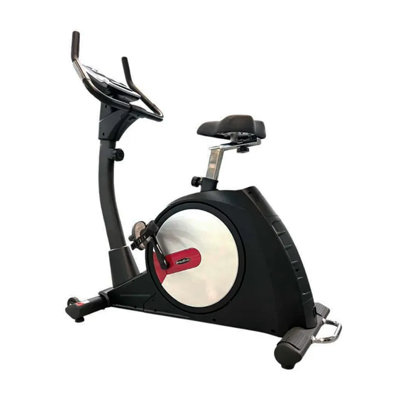 Bicicleta Vertical iVintage II C240