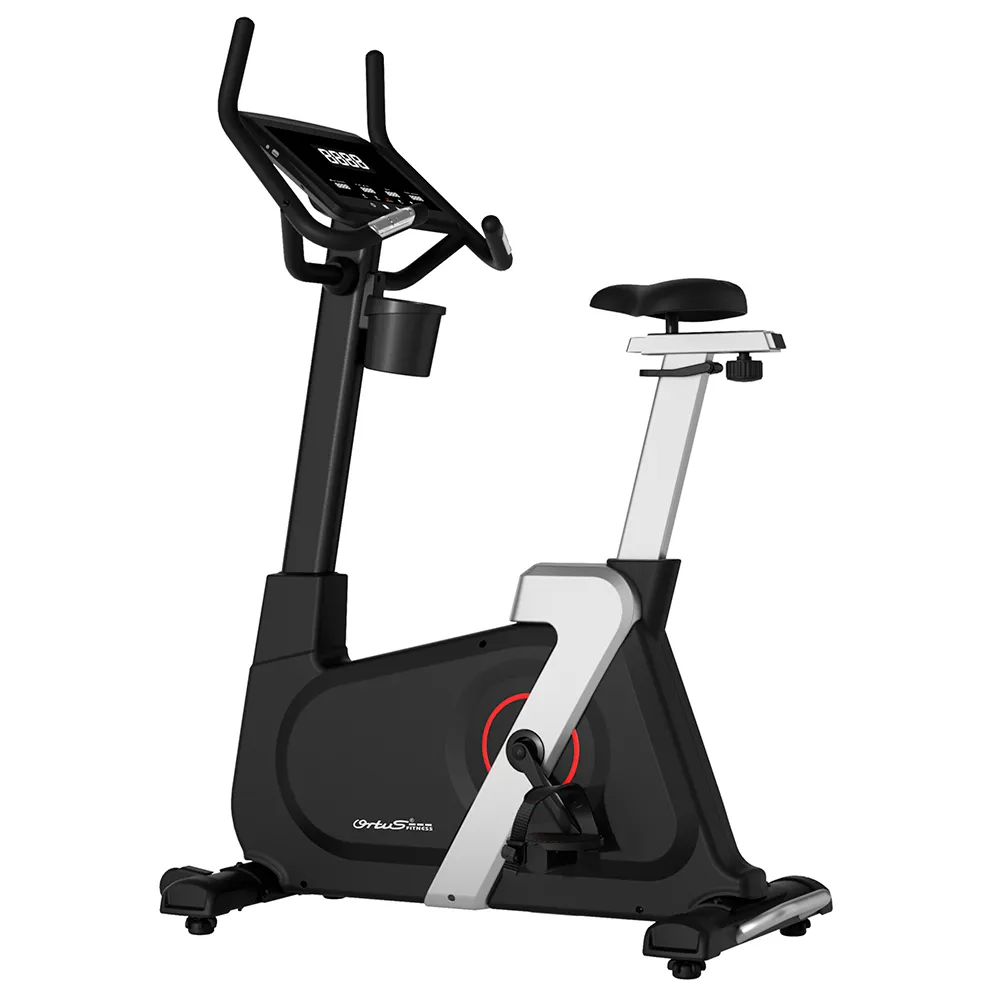 Bicicleta Vertical iVintage III C252