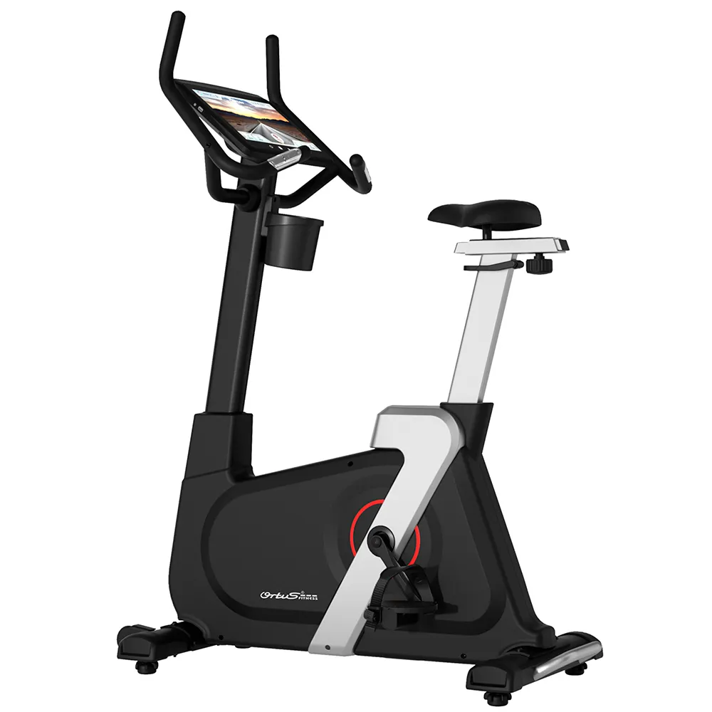 Bicicleta Vertical Tactil iVintage III