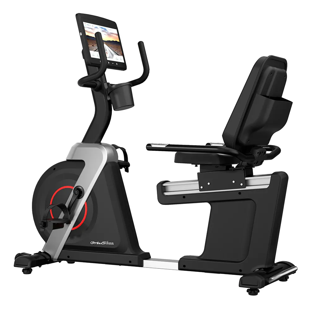 Bicicleta Horizontal Táctil iVintage III C253T